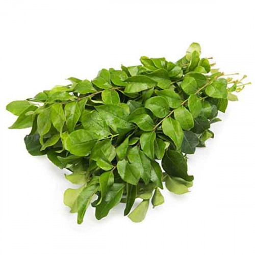 Curry Leaves 1 Piece