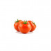 Tomato 1kg