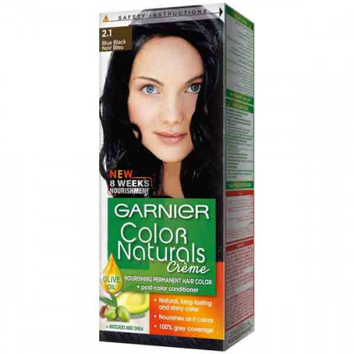 Garnier Colour Naturals 2.1 Blue Black Hair Colour