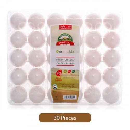 Ova Plus Large White Eggs 30 Pieces