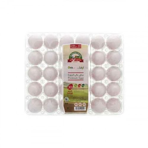 Ova Plus White Eggs Premium 30 Pieces