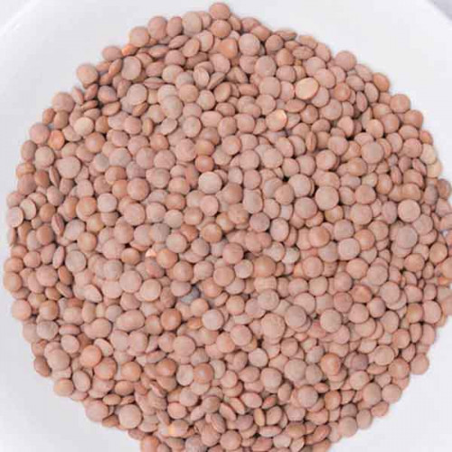 Masoor Whole 1kg